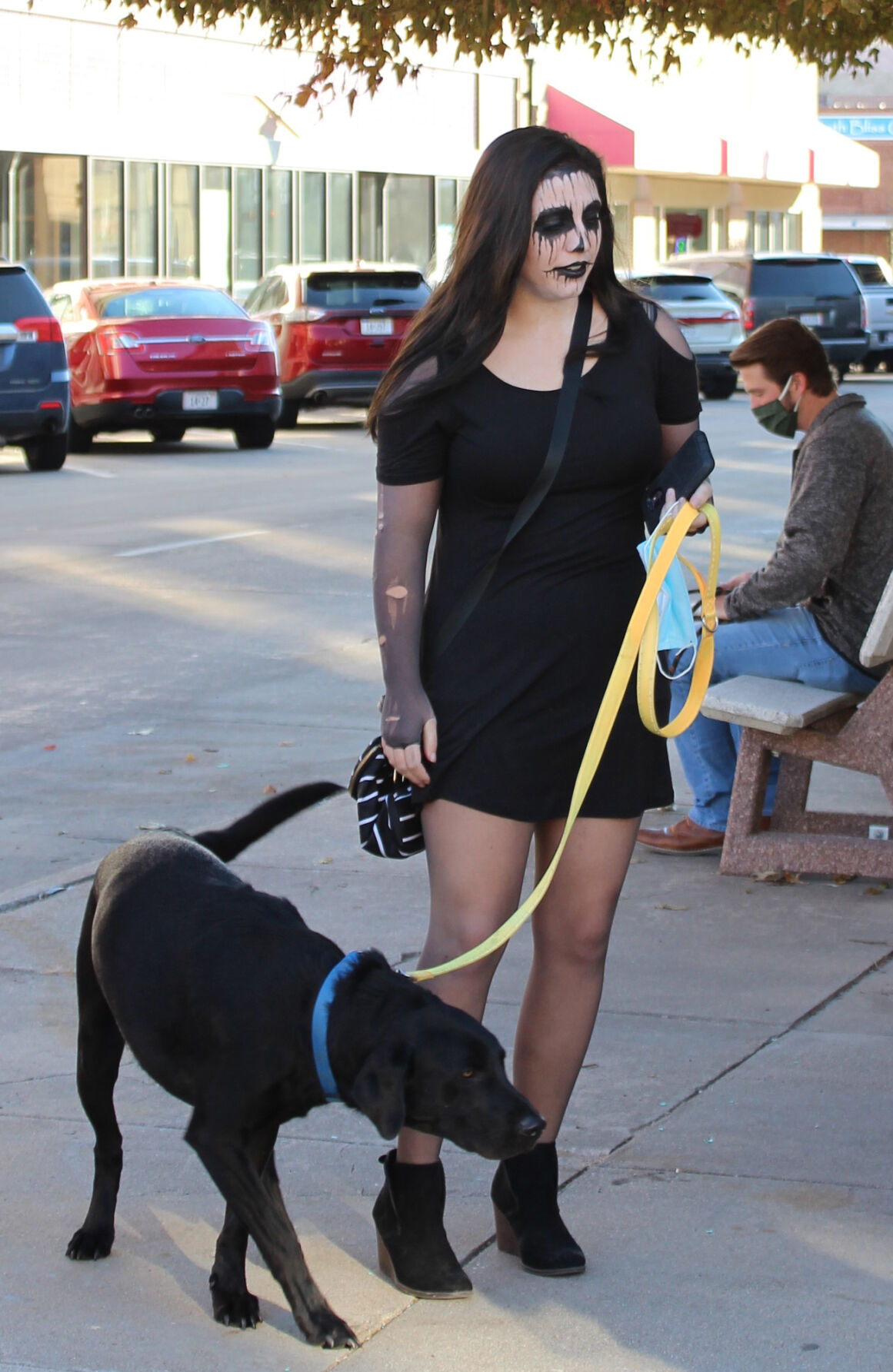 Dogs 10.jpg